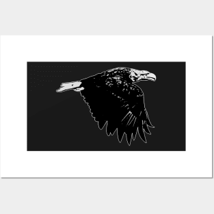 Eagle Posters and Art